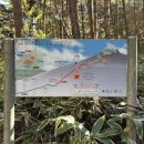 하산길 | 10월 한라산(1947m) | 성판악-사라오름-백록담-관음사 | 단풍구경 하산길 후기