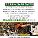 세중주유소 이미지