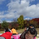 초등 감성미술 이미지