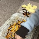 디오티디아산멍멍이주유소 이미지