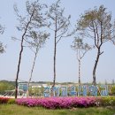 알파교대