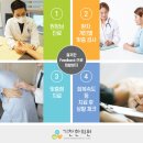 공릉한의원 네이버블로그