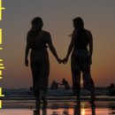 우리동네 행정사 사무소 이미지