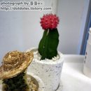 카페 주 이미지