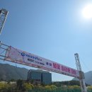 국립창원대학교 | [제1회 국립창원대학교 벚꽃마라톤] 런린이 첫 마라톤(5km) 참가 후기