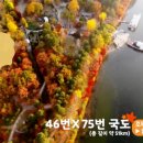 오드래산방 이미지