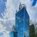 코우코알라 이미지