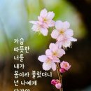 숙이해물칼국수 이미지