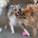 황자반놀이터 이미지