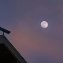 오프라이프(off life) 이미지