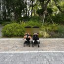 브라운카 | 에이블 유모카 플러스 브라운 연년생 내돈내산 후기