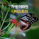 가평 가볼만한곳 / 이화원 나비스토리 이미지