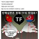 헌재 탄핵재판 전원일치(8:0) 인용 과정 Story...정형식이... 이미지