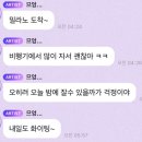 제노글로벌