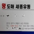 왕도매세종유통