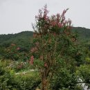 (주)기원농장 이미지