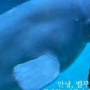 아림월드 이미지