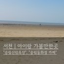 송림카페 | 서천 | 송림산림욕장 바다 산책 후 브라운핸즈 송림동화점 카페 후기(+아이랑)