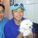 중앙애견 이미지