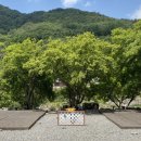 더불어사는터 이미지