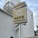 피오르네 풀빌라&히노끼 | 여수 신상 펜션 / 여수 풀빌라 피오르네 내돈내산 솔직 방문 후기 :)