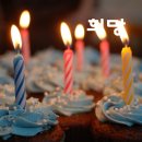 홍수환 스타복싱 네이버블로그