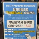 부산 스테프핫도그 초량점, 칠리덕핫도그 홀버거리얼비프 후기