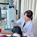 하늘동물병원 이미지