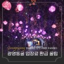 광명동굴 (제2주차장) | 광명동굴 입장료 할인 환급 시원한 여름 국내여행지 추천