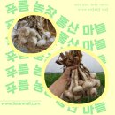 항균농장 이미지