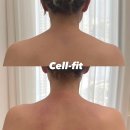 태크니끄 해운대 셀핏 프리미엄 이미지