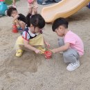 벌교어린이집 이미지