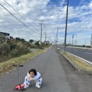 대정식당 | 제주살이 31일차 | 제주 대정 한양동식당 뷔페 점심 후기 | 제주 한식뷔페·도민맛집