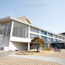 고려스포렉스