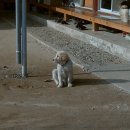 함창터미널 이미지