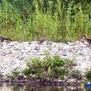 둥지광택 이미지