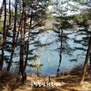 성주호 둘레길 성주호길 코스 이미지