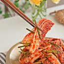 쉽게 따라하는 밑반찬&김치만들기 | 알배기 배추겉절이 황금 레시피 칼국수 알배추 겉절이 김치