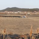 근흥면사무소 이미지