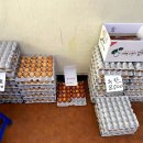 시우농장 이미지