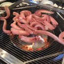 영랑산꼼장어숯불구이 이미지