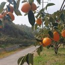 세지5일장 이미지