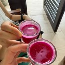 영문농장 | 나트랑 퓨전리조트 깜란 가든뷰 시크 스위트 후기 스파 마사지 예약방법&amp;꿀팁