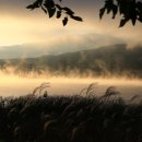 두물머리 이미지