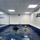 원앤원 스포츠 과학 운동센터 | [용인 분당 동탄] 스포츠재활센터 재활PT / 방문재활 수중재활 재활운동 &amp; 효과적인 재활운동