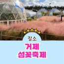 거제읍내시장 | 제19회 거제 핑크뮬리 명소 섬꽃축제 방문 후기 &amp; 관람 꿀팁