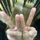 윤진음악학원 이미지