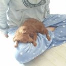 싸고만코