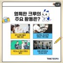 환영사 | 경북 청년활동 시작｜경상북도 청년센터 영특한 크루 오리엔테이션 후기