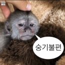 신빵굼터 | 우리 사이좋게 지내자